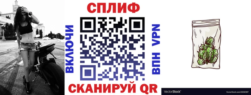Купить закладку Альфа ПВП  МЕФ  Псилоцибиновые грибы  Гашиш  АМФЕТАМИН  Канабис  Кокаин  Чадан