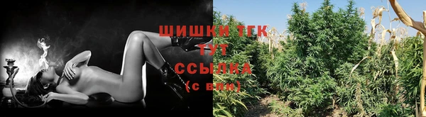 скорость Аркадак